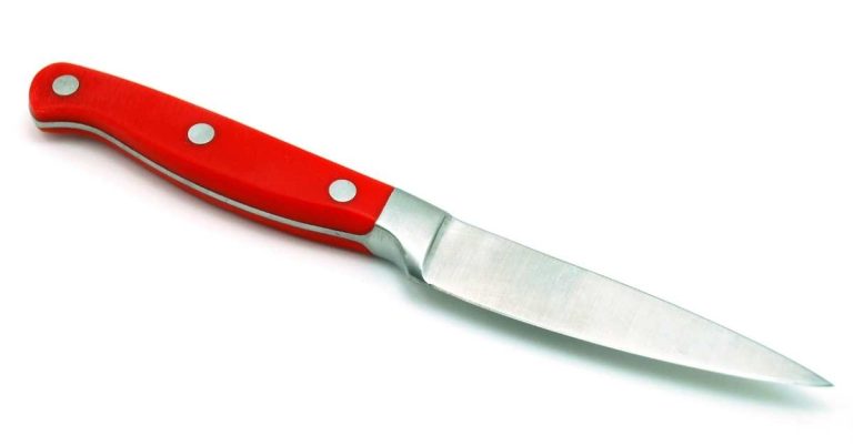 Which Is the Most Useful Swiss Army Knife for Everyday and Survival Use